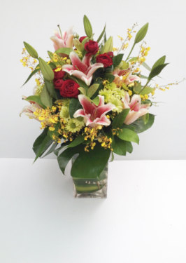 Sympathy Gallery 4