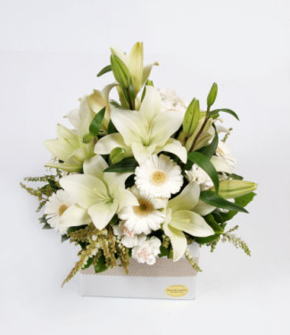 Sympathy Gallery 1