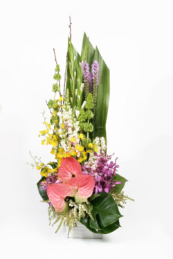 Sympathy Gallery 2